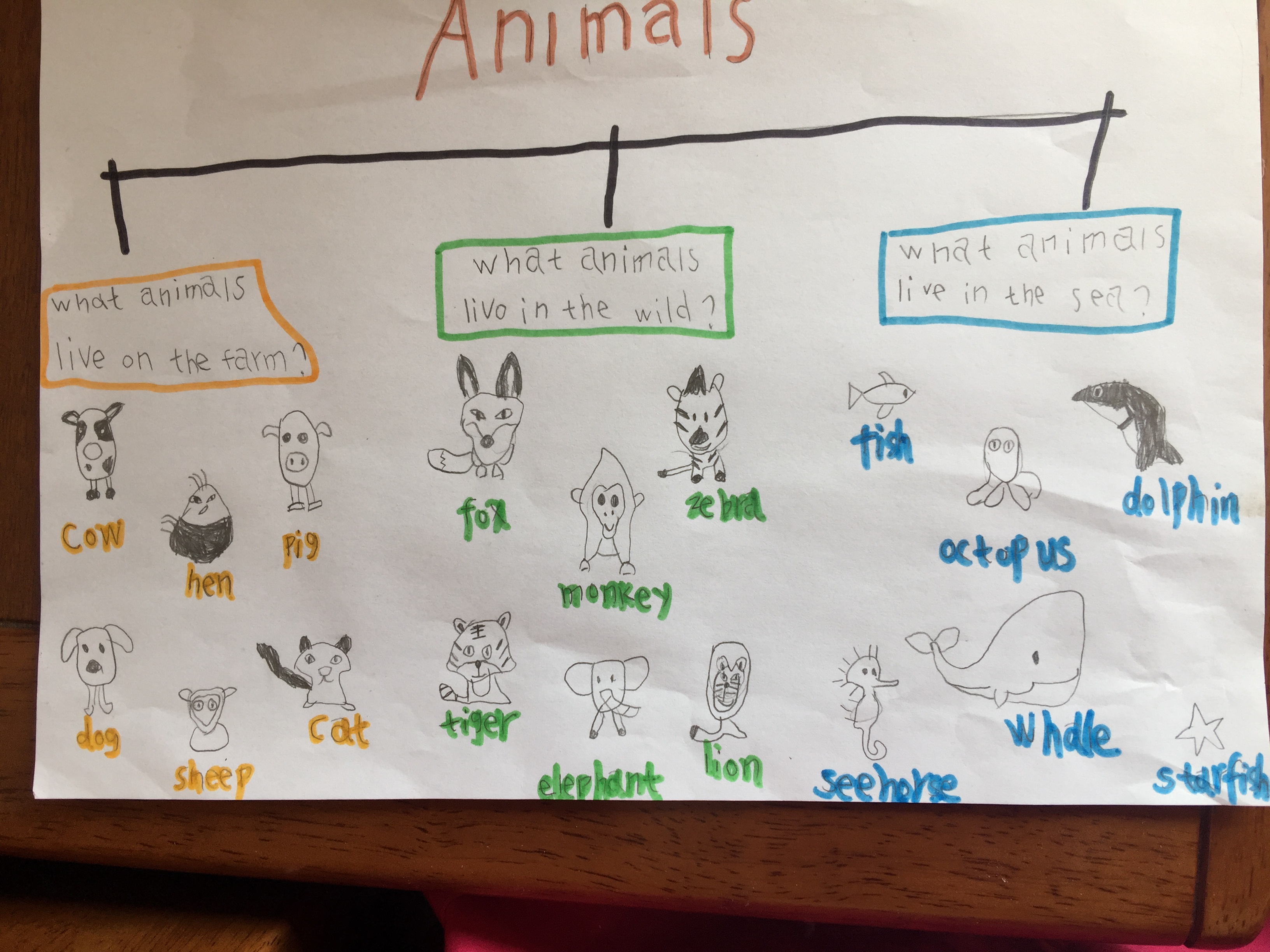 <a href=http://www.sulaixue.com/xiaoxue/ target=_blank class=infotextkey>Сѧ</a>Ӣ˼άͼanimalΪһ˼άͼ
